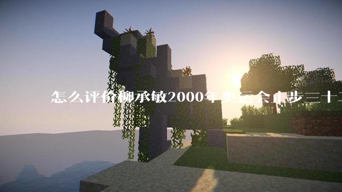 怎么评价柳承敏2000年奥运会止步三十二强？